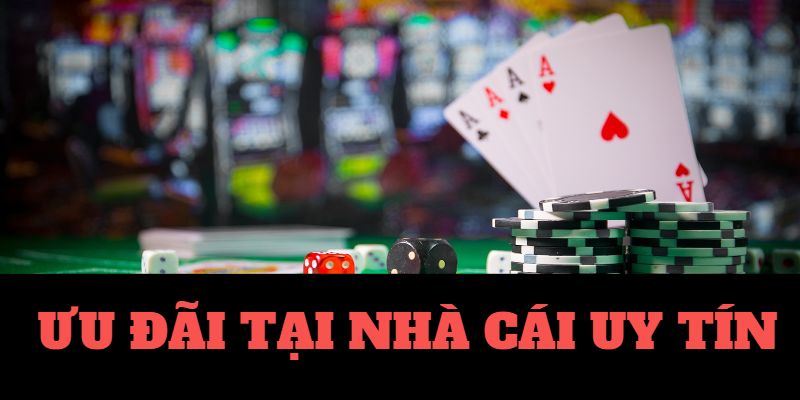 Học Cách Giải Mã Số Học Trên TV