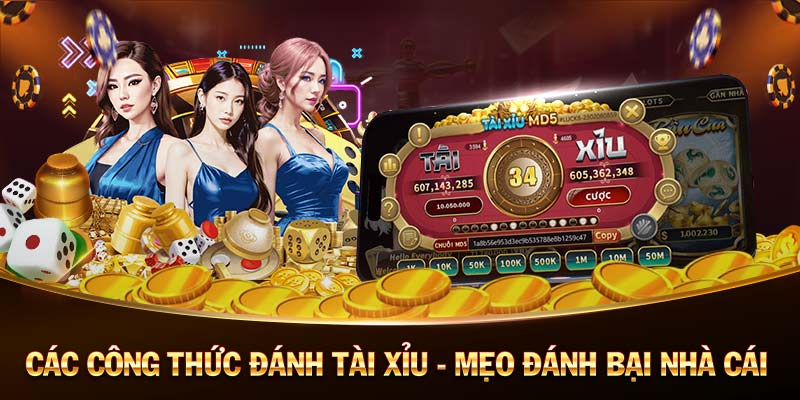 Top 3 Pokemon Khởi Đầu Đỉnh Nhất